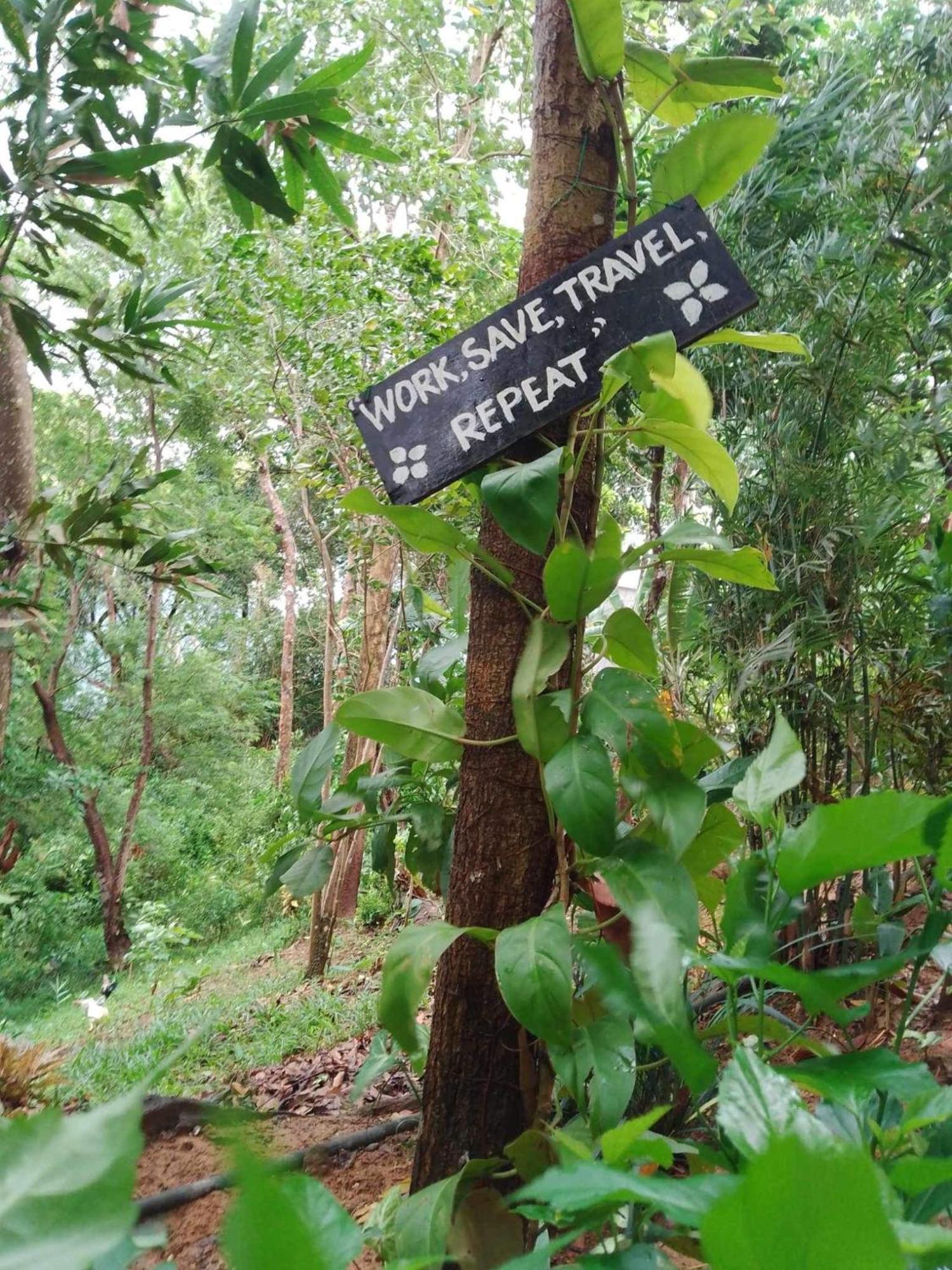 Camp Talusi Hilltop Overlooking 엘니도 외부 사진