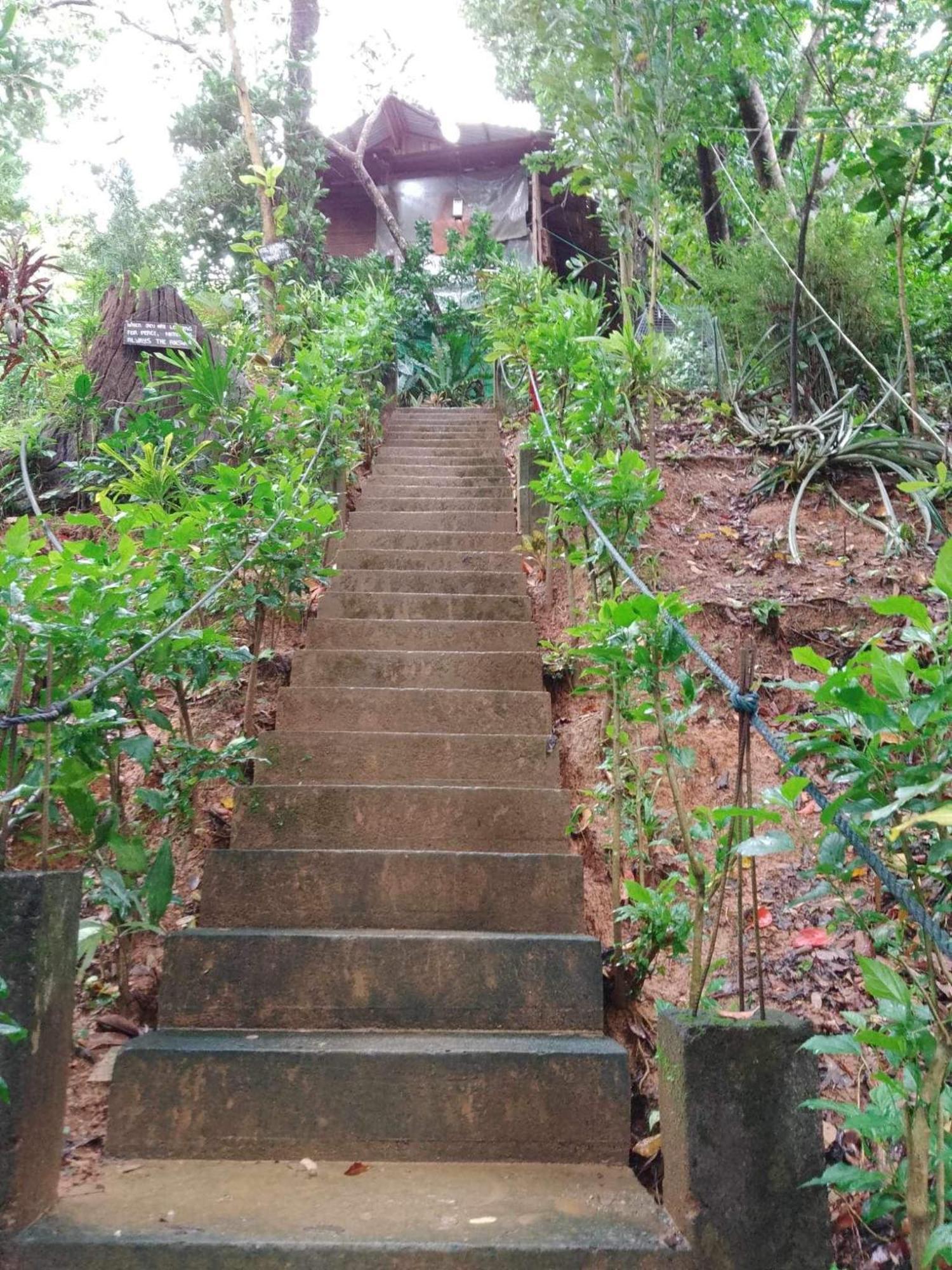 Camp Talusi Hilltop Overlooking 엘니도 외부 사진
