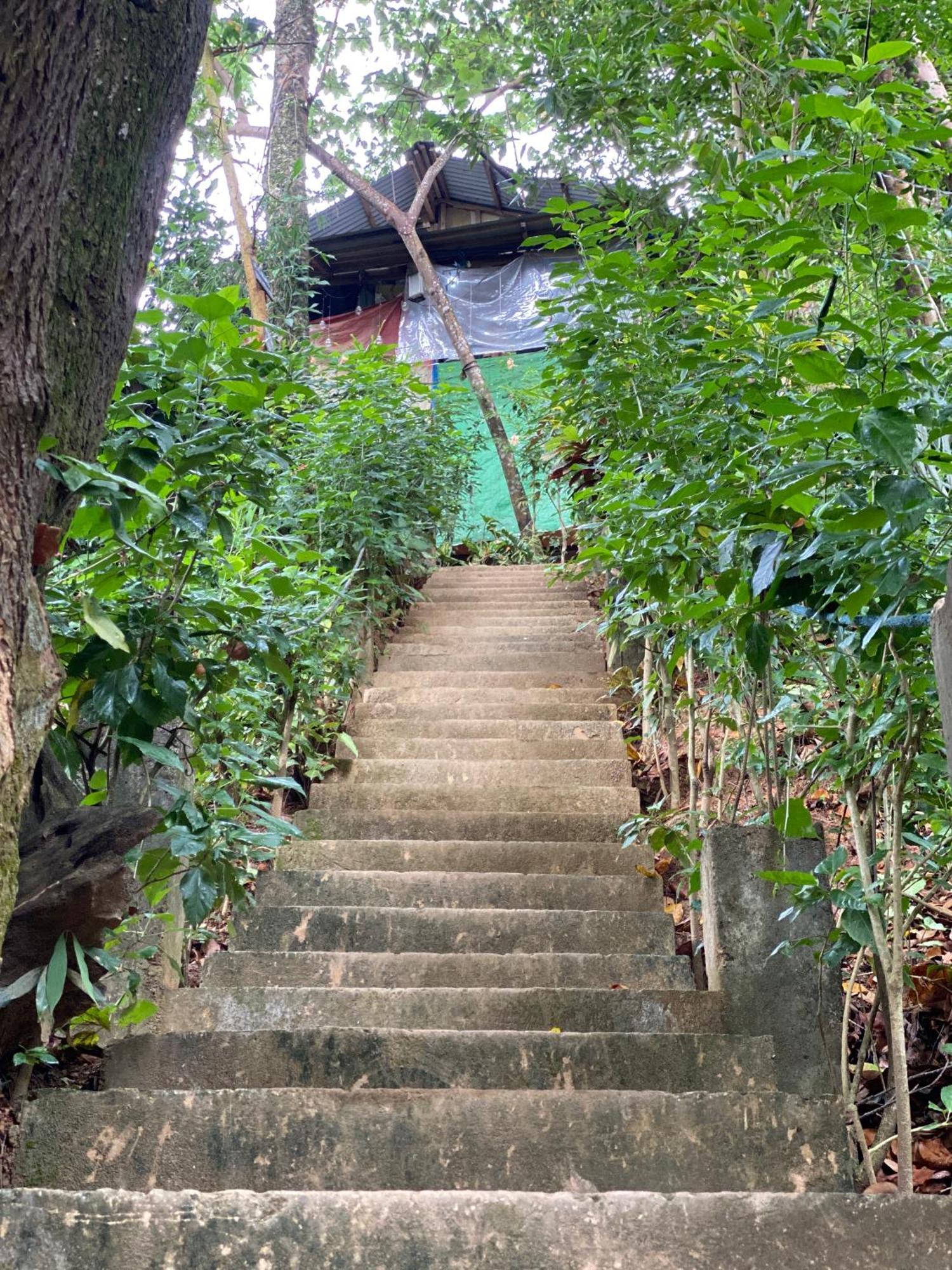 Camp Talusi Hilltop Overlooking 엘니도 외부 사진