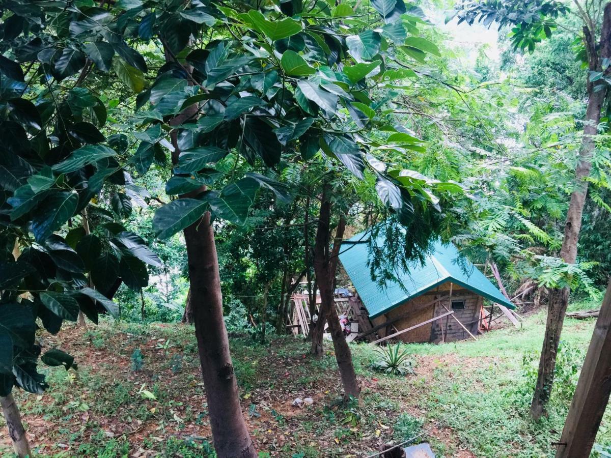 Camp Talusi Hilltop Overlooking 엘니도 외부 사진