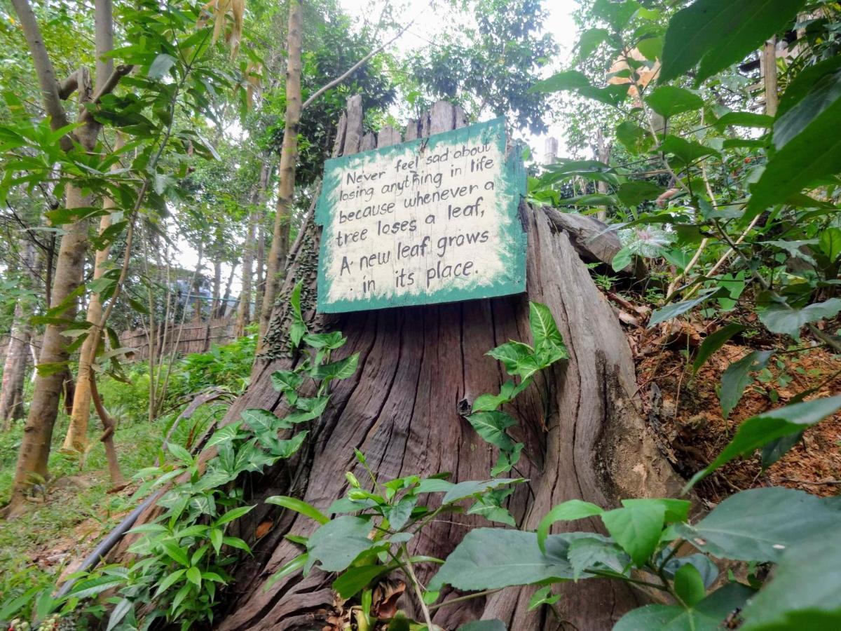Camp Talusi Hilltop Overlooking 엘니도 외부 사진