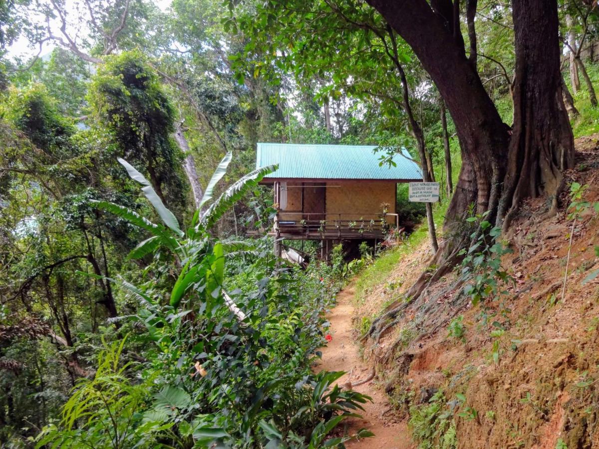 Camp Talusi Hilltop Overlooking 엘니도 외부 사진