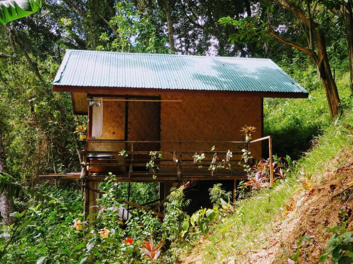 Camp Talusi Hilltop Overlooking 엘니도 외부 사진