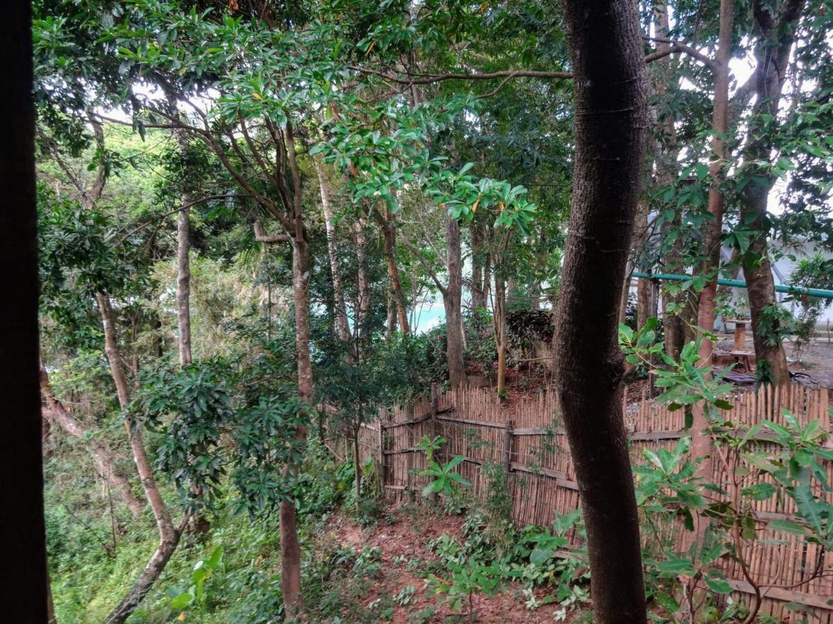 Camp Talusi Hilltop Overlooking 엘니도 외부 사진